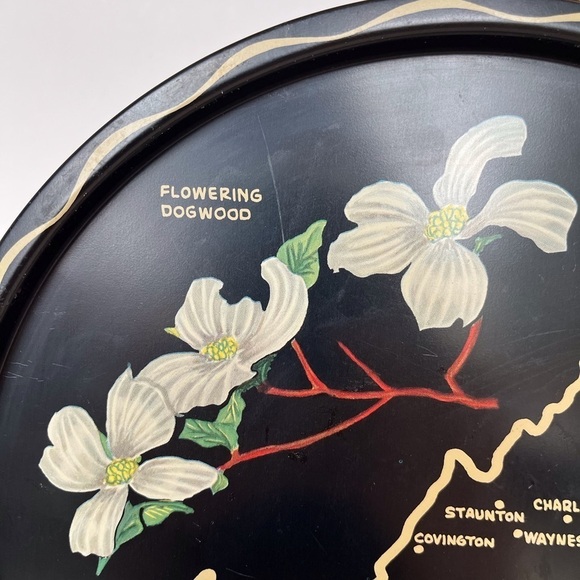 Vintage Kitschy Souvenir Metal Tray State of Virginia - Picture 4 of 9